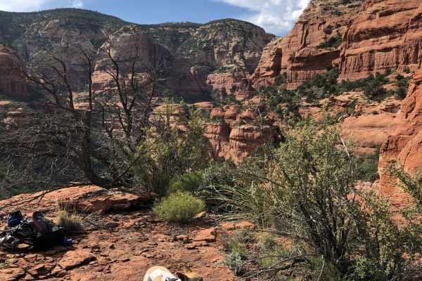 Fay Canyon Trail