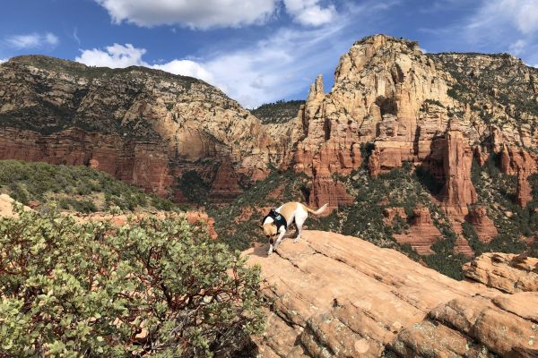 Brins Mesa Trail
