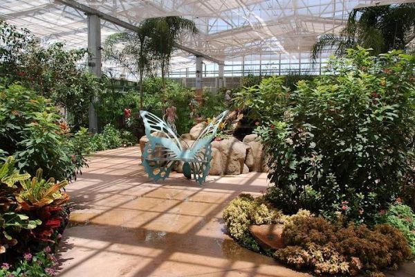 Butterfly Wonderland