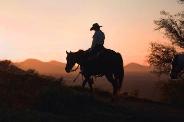 Wild West Horse Adventures